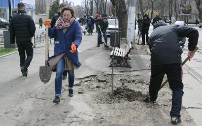 Общественники высаживали деревья и выступили против расширения Французского бульвара