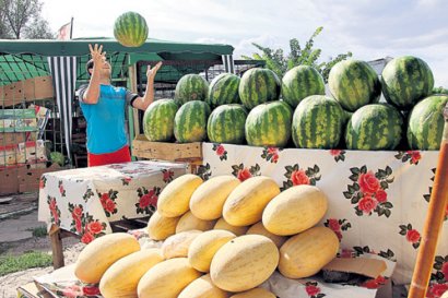 Осторожно: скоро в Одессе появятся арбузы и дыни!