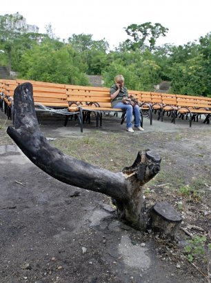 Одесские джунгли-руины преображаются (фото)