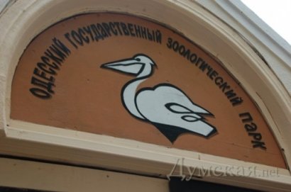 В пресс-клубе газеты «Слово» проходит пресс-конференция, посвященная работе Одесского зоопарка