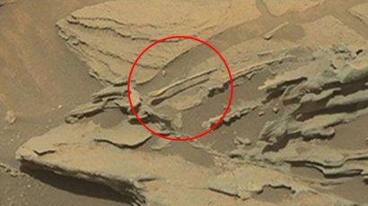 Снимок парящей на Марсе ложки всколыхнул ученых всего мира