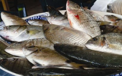 В Белгороде-Днестровском задержали браконьера с 20 кг рыбы