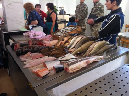 3 рынка, 11 протоколов о нарушениях, 93 кг изъятой рыбы: одесская рыбоохрана провела очередной рейд