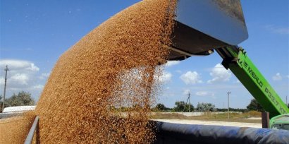 Украина успешно кормит импортеров зерном. И еще лучше – снабжает рудами