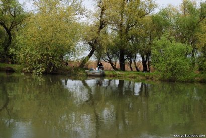 Заповедное урочище «Днестровские плавни» вырежут сразу на 50 гектаров