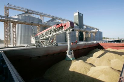 За десять месяцев зерновых из Одесского порта ушло на экспорт навалом