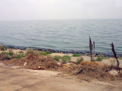 Озеро Сассык может снова стать Черноморским лиманом уже в мае следующего года