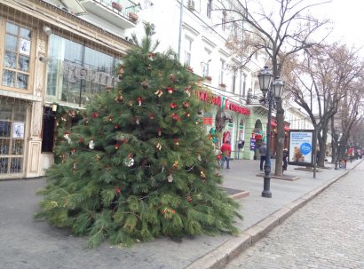 На Дерибасовской уже установили елку. Пока не главную (фото)