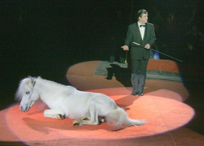 Львы и Дед Мороз встречают зрителей в Одесском цирке