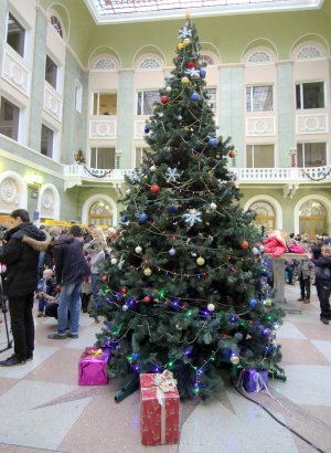 Почта Украинского Деда Мороза на Одесском Почтамте (фото)