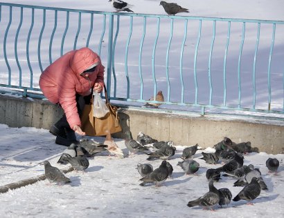 Зимы ждала, ждала природа: Одесса, "Парк Победы", 2 января