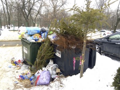 Одесские мусорники зазеленели (фото)