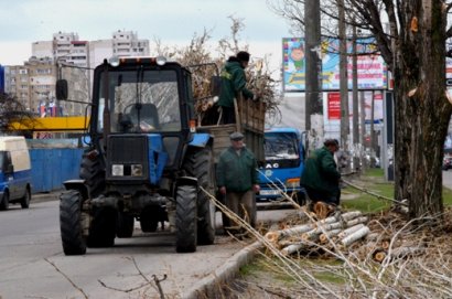 Горзелентрест готовит одесские улицы к весне (фото)