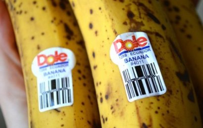 Покупая бананы, будьте осторожны! Знаете ли вы, что означают ЭТИ наклейки?