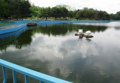 В очищенный пруд парка Победы запускают воду