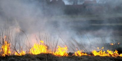 В регионе объявлен чрезвычайный 5 класс пожарной опасности