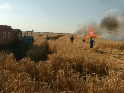 В Измаильском районе сгорело пшеничное поле