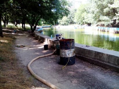 В парке Победы чистят уже второй пруд