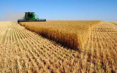 В текущем году Черноморский регион займет колоссальную долю зернового рынка