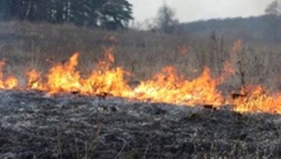 За прошедшие сутки на территории области произошло 37 пожаров в экосистеме