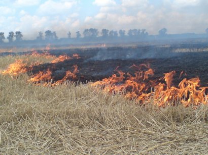 Килийский район: ликвидировано возгорание сухой травы