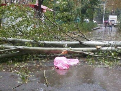 Смерть в Одессе: первые жертвы непогоды