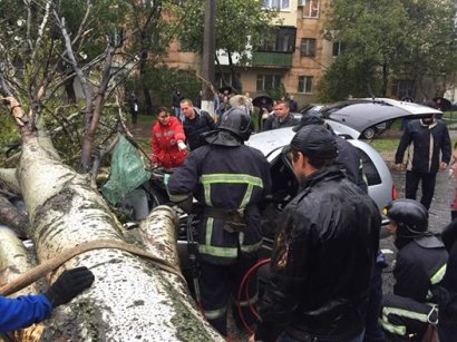 От урагана в Одессе уже погибло два человека (фото)