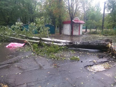 Жертвами урагана  в Одесской области стали три человека