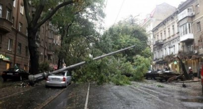 В результате штормового ветра, ливня и связанных с ними падений деревьев было обесточены целые городские микрорайоны