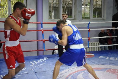 Стали известны итоги чемпионата области по боксу среди юниоров и элиты