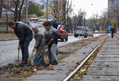 Одесситы! Поможем озеленить Французский бульвар