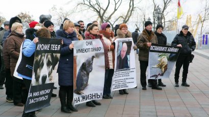 Митинг против «живодеров-догхантеров» прошел под одесской мэрией