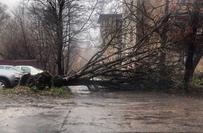 Одесская мэрия просит завтра из дома не выходить: будет штормить