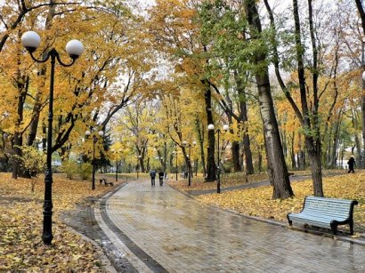 «Легким города» теперь больше ничего не угрожает