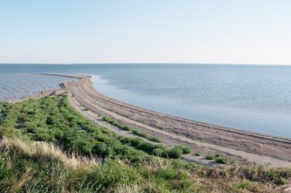 Министерство обороны не будет посягать на территорию НПП «Тузловские лиманы»