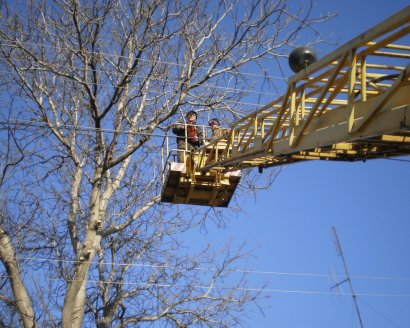 В Одессе проводят обрезку деревьев
