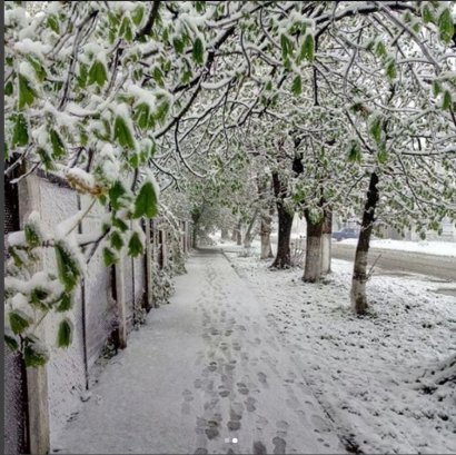 В Одесской области намело до 20 см снега (видео)