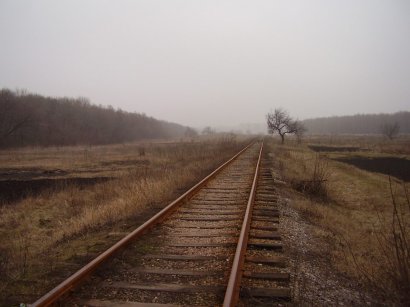 Проект восстановления железной дороги в обход Приднестровья затормозили