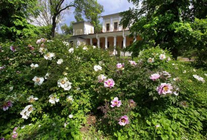 В этом году Одесскому ботаническому саду исполняется 150 лет