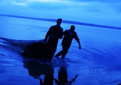 Десятки мёртвых дельфинов выбросило на побережье Килийского района недалеко от впадения Дуная в Чёрное море