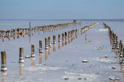 Возле Куяльницкого лимана будет разбит парк водно-болотных угодий