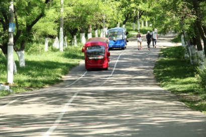 Спортивную площадку в самом начале Отрады превратили в бар