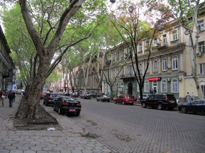 В самом центре Одессы рухнуло огромное дерево