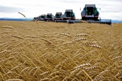 Регистрация прав- залог стабильности аграриев при реализации земельной реформы