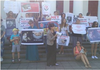 Одесские зоозащитники требуют ужесточения ответственности за жестокое обращение с животными