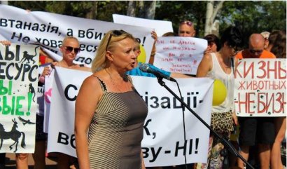 Зоозащитники Одессы и Николаева вышли на митинг против убийства бродячих животных