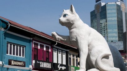 Малайзийский город, помешанный на котиках (ФОТО)