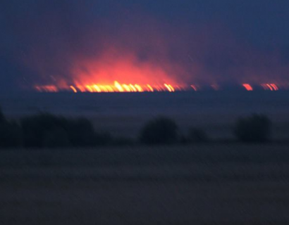 В Одесской области подожгли заповедник