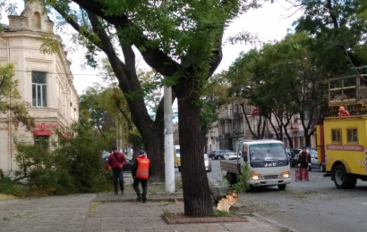 Падение фрагмента дерева вновь заблокировало движение в центре Одессы