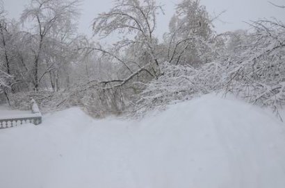 Из-за погодных условий в Одесской области без электроэнергии остались двадцать четыре населенных пункта